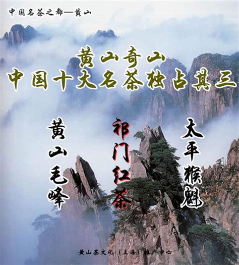 黄山名茶，让国茶更璀璨