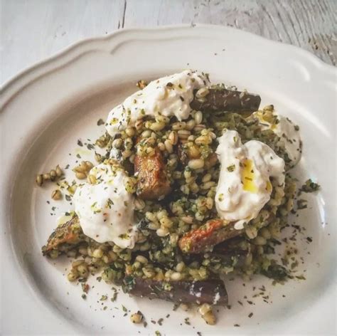 Insalata D Orzo Con Pesto Di Basilico E Limone Melanzane E