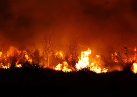 Forest Fires Destroy Most Hectares In Spain InSpain News