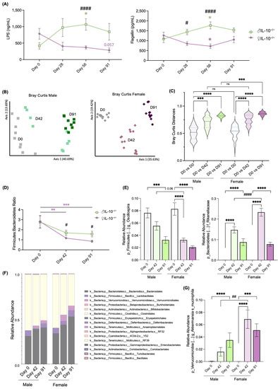 The Effect Of Sex Specific Differences On Il 10− − Mouse Colitis