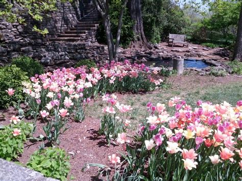 Cheekwood Botanical Garden in Nashville, TN Nashville Tennessee, Botanical Gardens, Art Museum ...