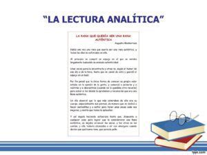 Definici N De Lectura Analitica Qu Es Significado Y Concepto