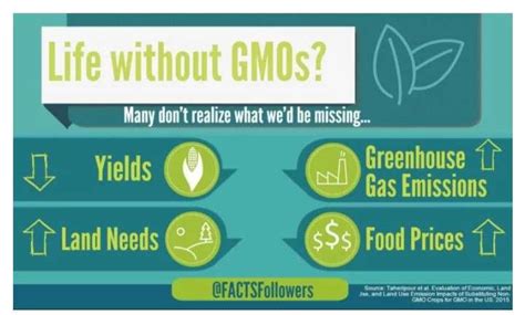 Benefits And Risks Of GMOs Better Health Or Medical Problems