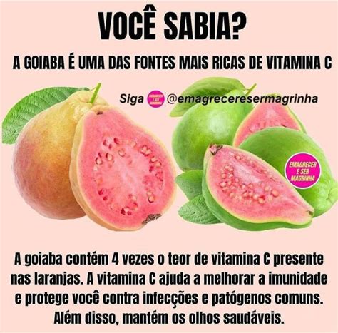 Benefícios goiaba Guava fruit Fruit Health tips