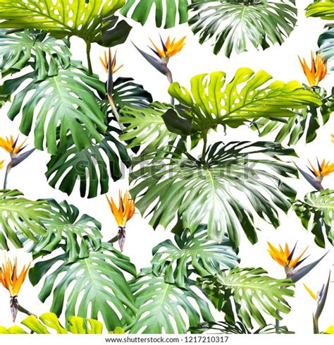 Tropical Leaves Pattern Green Leaf Exotic Stock Illustration 1217210317 ...