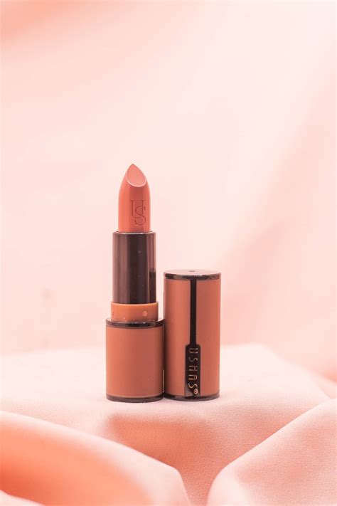 LABIAL EN BARRA MATTE USHAS TONO 19 MAQUILLAJE