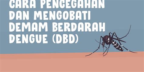 Pengobatan Demam Berdarah Newstempo