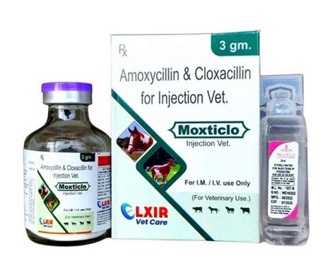 Moxticlo G Amoxycillin Mg Cloxacillin Mg Injection For Vet