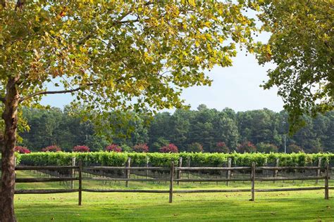 The Williamsburg Winery Vineyard Williamsburg Winery Virginia Travel