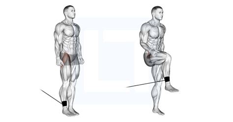 Band Hip Flexion - Guide, Benefits, and Form