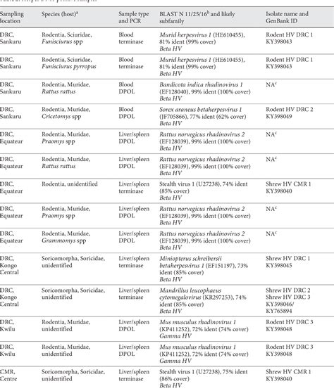 Table 2 From High Herpesvirus Diversity In Wild Rodent And Shrew