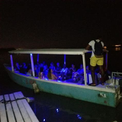 From Montego Bay Luminous Lagoon Boat Tour With Transfer Getyourguide