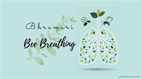 Bhramari Pranayama (Bee Breath) - Steps, Benefits, and Variations