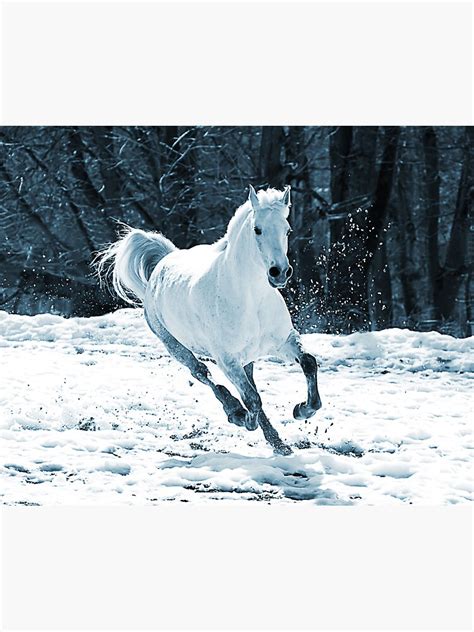 "Cute Horse - White Horse in Snow" Sticker for Sale by ONORMAL | Redbubble