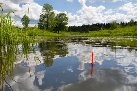 Fishing Knots That Every Coarse Angler Should Know The Tackle Box