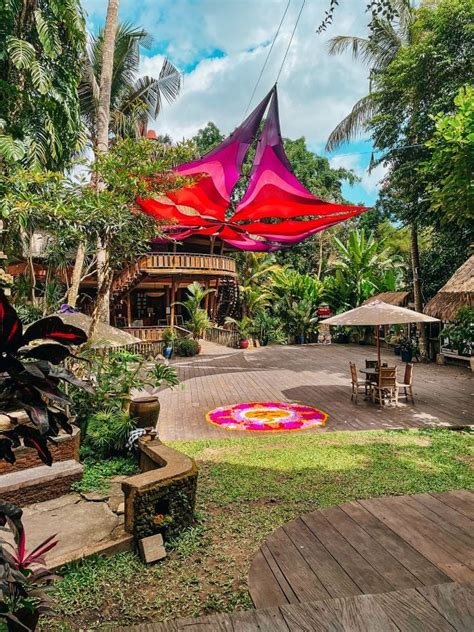 The Yoga Barn Schedule Ubud | Must-Do Classes And Treatments! - The Wild Globetrotter