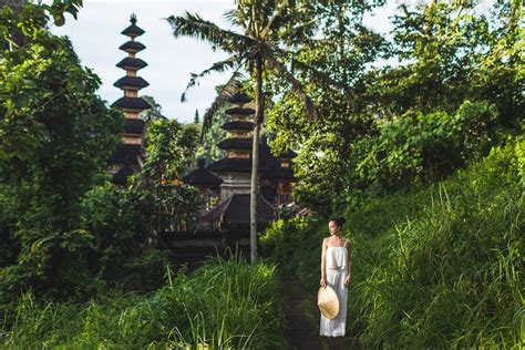 Menjelajahi Campuhan Ridge Walk Yang Mempesona Di Bali Perjalanan