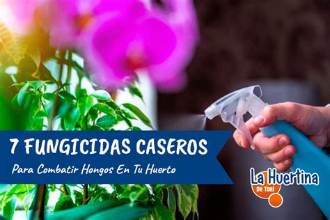 7 Fungicidas Caseros Para Combatir Hongos En Tu Huerto