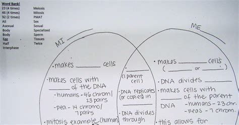 Monohybrid Crosses Mysterious Fred Amoeba Sisters Answer Key Monohybrid Cross Answer Key