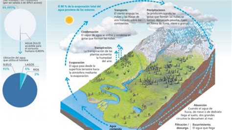 Recursos H Dricos Del Planeta Clasificaci N Y Importancia En La Vida