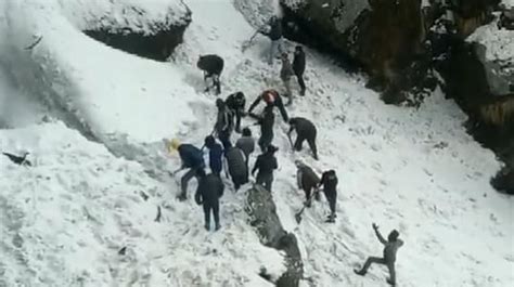 Seven Tourists Dead In Sikkim Avalanche Scores Still Missing