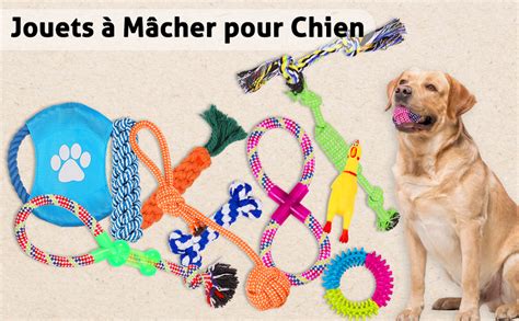 Vacnite Lot De Jouets Chien Corde Ensemble Jouet M Cher Pour Chien