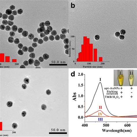 Tem Image Of A Fe O Au Nanocomposites E Igy Fe O Au Nanocomposites