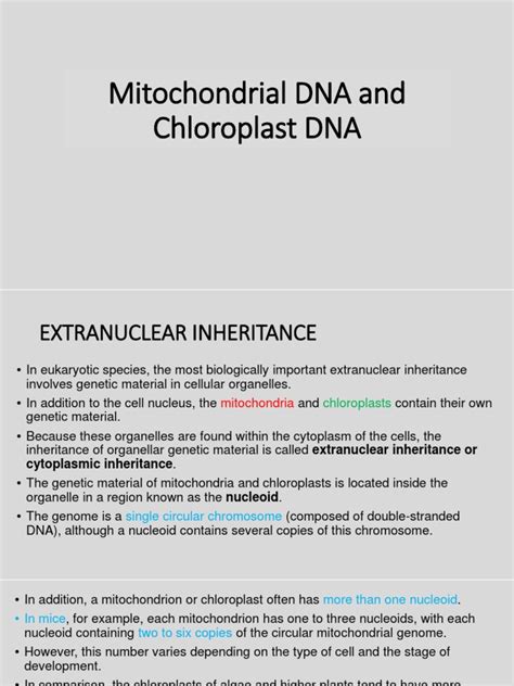 5 Mitochondrial DNA and Chloroplast DNA | PDF | Mitochondrial Dna | Mitochondrion