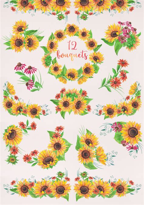 Watercolor Sunflowers ~ Illustrations on Creative Market