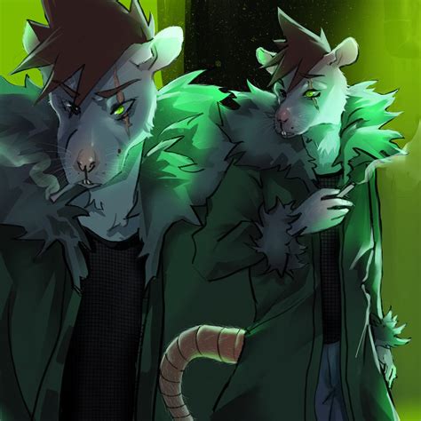 rat oc  hydrnge  deviantart