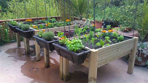 De Tu Patio A La Cocina Secretar A De Agricultura Y Desarrollo Rural