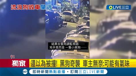 遇黑狗幫自認倒楣？牽車驚見愛車擋泥板遭毀 監視器揪凶竟是一群黑狗 車損4萬求償無門 車主無奈可能有氣味 專家需加保自負額才理賠