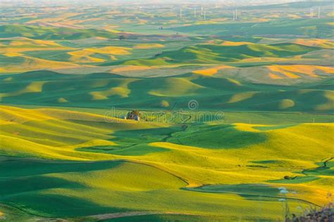 Palouse Wheat Fields at Sunrise in Eastern Washington Stock Image ...