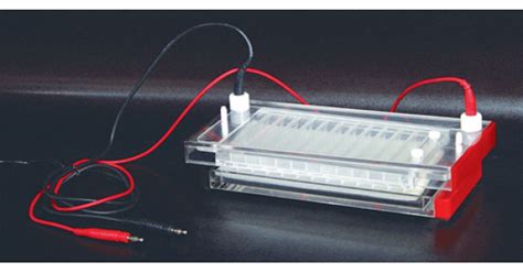 Horizontal Electrophoresis System For Wells Bt Lab Systems