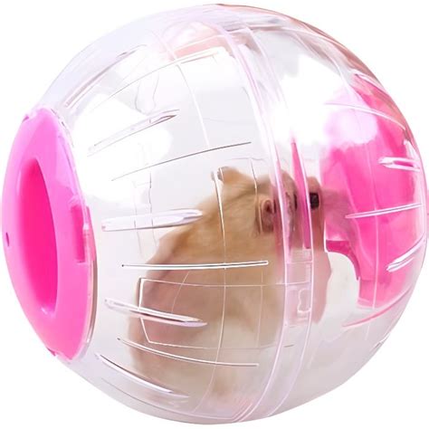 Boule Hamster Boule De Gym Hamsters Ballon D Exercice De Course Mini