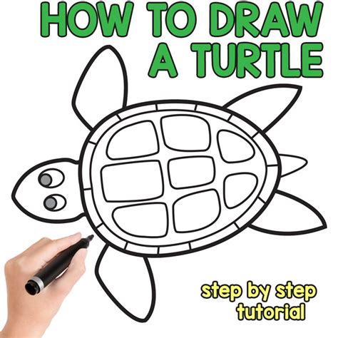 How To Draw A Turtle Step By Step Drawing Tutorial Easy Peasy And Fun