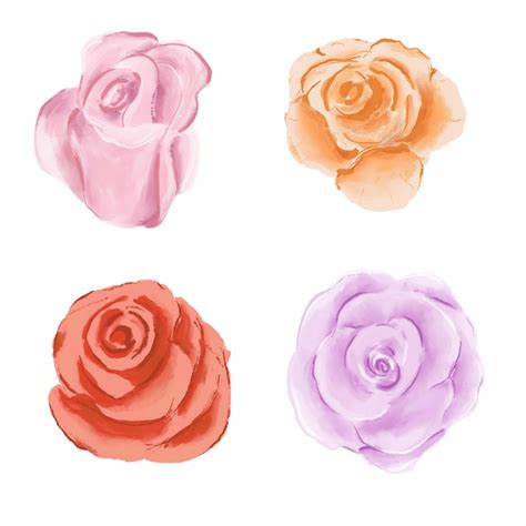 Premium Psd Rose Flower Bloom In Colours