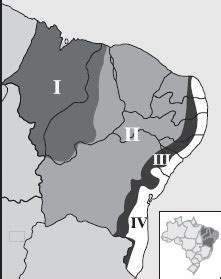 AIO A Analise Do Mapa E Os Conhecimentos Sobre As Sub