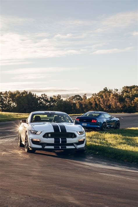 2019 Ford Mustang Gt Performance Pack Level 2 Vs 2019 Ford Mustang Shelby Gt350