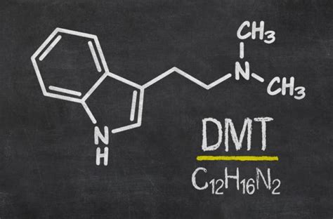 DMT N N dimetiltriptamina Investigación y riesgos emergentes