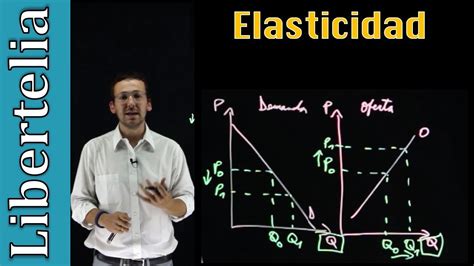 Que es la elasticidad Elasticidades Microeconomía Libertelia