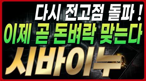 시바이누 다시 전고점 돌파 이제 곧 돈벼락 맞는다 도지코인리플비트코인 Youtube