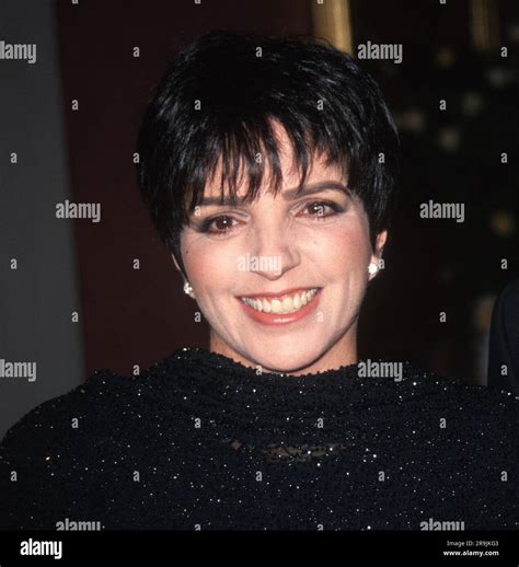 1994 Liza Minnelli John Barrett/PHOTOlink Stock Photo - Alamy