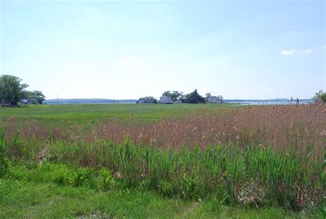 Essex Conomo Point Marsh Conomo Point Marsh Essex Ma Flickr