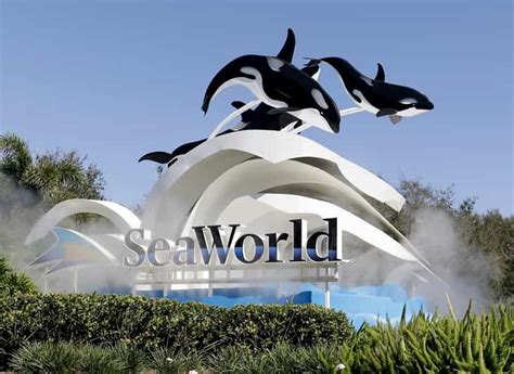 Orlando: SeaWorld Shuttle Service | Travel Buddies