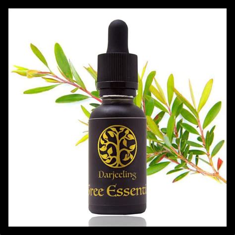 Jual Ml Tea Tree Essential Oil Minyak Tea Tree Murni Terjamin