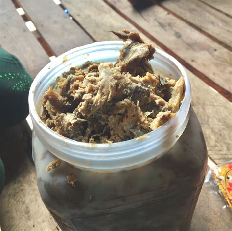 Food Security throughout the dry season for Cambodia | Cornell