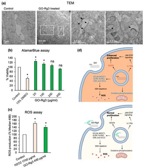 Pharmaceutics Free Full Text Ginsenoside Rg3 Reduces The Toxicity