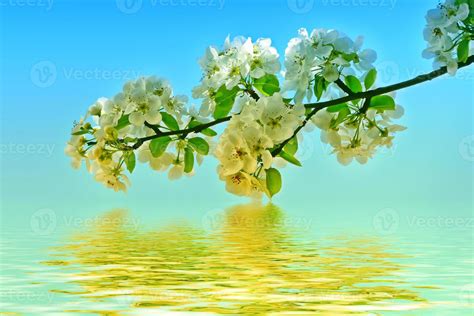 Bright colorful spring flowers 10026787 Stock Photo at Vecteezy