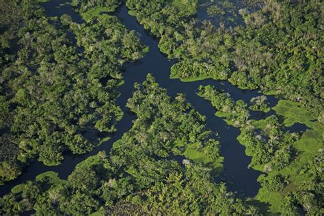 Signed Cooperation Agreement With Alto Pur S National Park To